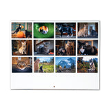 Lodge Cat Calendar 25/26