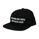 They Hat Cats Dad Hat