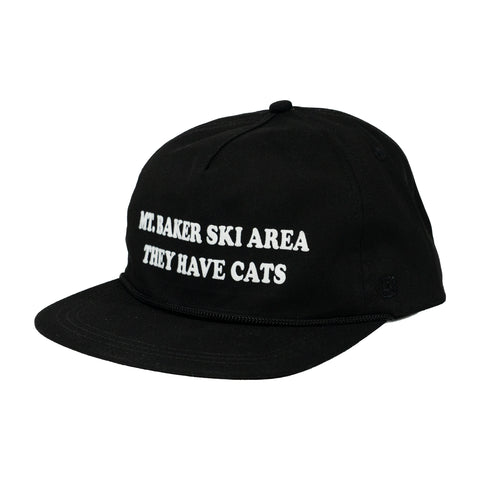 They Hat Cats Dad Hat